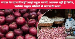 Onion Price: प्याज के दाम में नहीं आई बहुत नरमी, आवक रही है स्थिर, जानिए प्रमुख मंडियों में प्याज के भाव
