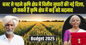 Budget 2025: बजट से पहले कृषि क्षेत्र में वित्तीय सुधारों की नई दिशा, हो सकते हैं कृषि क्षेत्र में कई बडे बदलाव