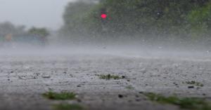 Weather Alert: Rain and Fog Expected in Delhi, UP, and MP