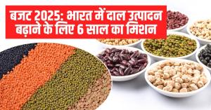 Challenges to Self-Sufficiency in Pulses: India's Production, Imports, and Policy Reforms