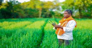 Temperature Drop in Punjab and Chandigarh, Check Weather Updates Across India