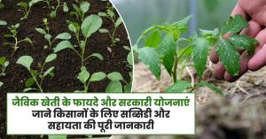 Organic Farming Benefits and Government Schemes: Complete Information on Subsidies and Support for Farmers"=