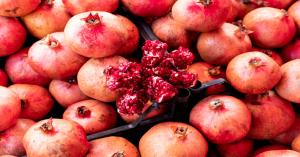 New Milestone in Agricultural Exports: India’s First Sea Freight Shipment of Pomegranate to Australia