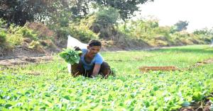 Farmers Becoming More Empowered and Self-Reliant Through Agricultural Training