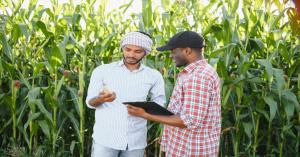 February Weather Poses Challenges for Farmers, IMD Issues New Advisory