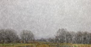 Weather Alert: Western Disturbance to Bring Heavy Snowfall and Rain, Northern India to See Weather Changes Till March 1