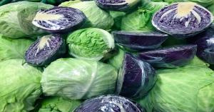 Latest Cabbage Price Today in Madhya Pradesh and Delhi (25 February, 2025)