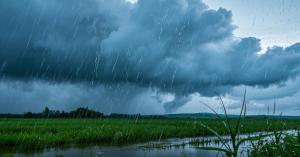 Rain Likely in Several States Including Punjab, Haryana, and UP from February 26 to March 1