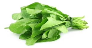 Spinach price today in Uttar Pradesh and Rajasthan (26 February, 2025)