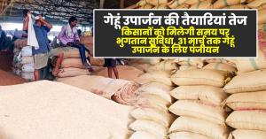 Preparations for wheat procurement are in full swing, farmers will get payment on time, register by March 31