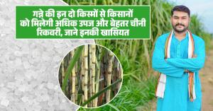 Sugarcane farming: गन्ने की इन दो किस्मों से किसानों को मिलेगी अधिक उपज और बेहतर चीनी रिकवरी, जाने इनकी खासियत