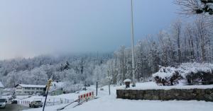 Weather update: Cold in Delhi, Snowfall in Kashmir & Himachal, and Rising Heat in South India