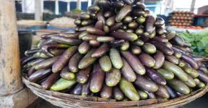 Brinjal mandi bhav today: दिल्ली और उत्तर प्रदेश में बैंगन का मंडी भाव आज का (07 मार्च, 2025) – जानें ताजा रेट