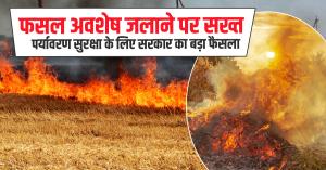 फसल अवशेष जलाने पर सख्त पाबंदी, पर्यावरण सुरक्षा के लिए सरकार का बड़ा फैसला