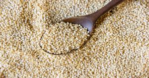 Bajra Prices Today in Gujarat, Rajasthan, and Uttar Pradesh (March 08, 2025)