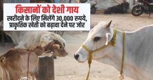 Farmers to Receive ₹30,000 for Purchasing Indigenous Cows, Focus on Promoting Natural Farming