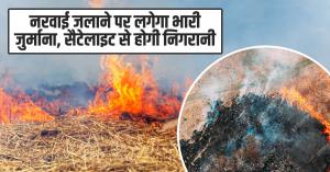 Heavy fine for burning crop residue, tracking will be done via satellite