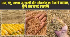 Record Production of Rice, Wheat, Maize, Groundnut, and Soybean: New record in agriculture sector in India