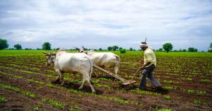 Government New Initiative: Advancing Climate-Resilient Agriculture for Farmers' Benefit
