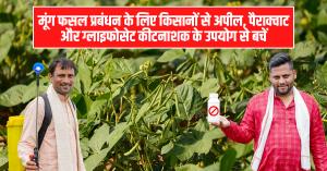 मूंग फसल प्रबंधन के लिए किसानों से अपील, पैराक्वाट और ग्लाइफोसेट कीटनाशक के उपयोग से बचें