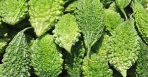 Bitter Gourd (Karela) Prices Today in Maharashtra and Rajasthan (March 21, 2025)