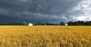 Weather update: देशभर में बदला मौसम, उत्तर भारत में बारिश-बर्फबारी, यूपी-दिल्ली में तेज हवाओं का अलर्ट