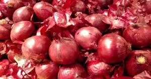 Onion mandi rate today: उत्तर प्रदेश और राजस्थान में आज का प्याज का भाव (22 मार्च, 2025) – लेटेस्ट मंडी रेट