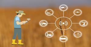 Integrated Monitoring System to Prevent Irregularities in Paddy and Wheat Procurement, Orders Issued for Rice Milling Quality Inspection