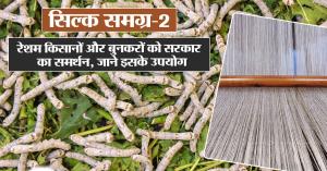 Government Support for Silk Farmers and Weavers – Know Its Uses