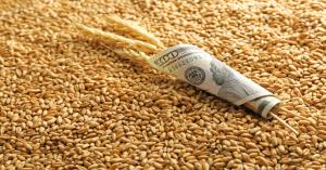 Wheat Stock Declaration Mandatory from April 1, Weekly Updates Required: Government