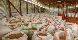 World’s Largest Grain Storage Plan in the Cooperative Sector: Key Benefits