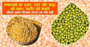 MSP Approval for 100% Procurement of Tur, Urad, and Masoor, PM-Asha Scheme Extended Till 2025-26