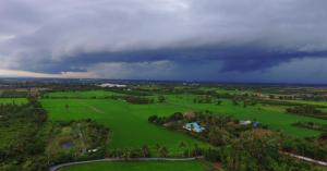 Madhya Pradesh Weather to Change in Early April, Rain and Hail Expected in Several Districts