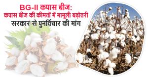 BG-II Cotton Seeds: Slight Price Increase, Industry and Farmers Demand Reconsideration