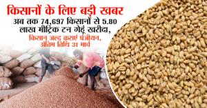 MP Wheat Procurement Reaches 5.80 Lakh Metric Tonnes, Registration of 14 Lakh Farmers Completed – Last Date: March 31