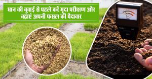 Conduct Soil Testing Before Sowing Paddy to Increase Crop Yield