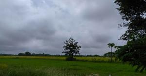 Weather Update: Heatwave Alert in Northwest India, Rain Likely in South and Northeast