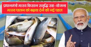 PMMSY Scheme: प्रधानमंत्री मत्स्य किसान समृद्धि सह-योजना (PM-MKSSY): मत्स्य पालन को बढ़ावा देने की नई पहल