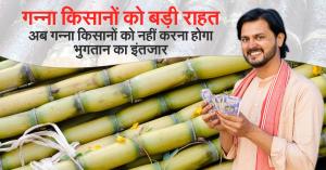 Good News for Sugarcane Farmers: Full Payment to Be Made in One Go, Rules High Court