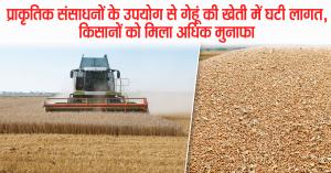 Reduced Cost and Higher Profits in Wheat Farming Through Use of Natural Resources