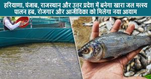 Haryana, Punjab, Rajasthan, and Uttar Pradesh to Become Saline Water Aquaculture Hubs, Boosting Employment and Livelihoods