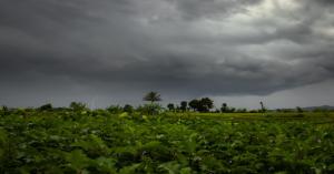 Rain and Thunderstorm Alert in 23 Districts of Bihar – Check Latest Weather Update