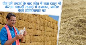 गेहूं की कटाई के बाद खेत में बचा डंठल भी करेगा आपकी कमाई में इजाफा, जानिए कैसे खेतिव्यापार पर