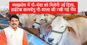 मध्यप्रदेश में गौ-सेवा को मिलेगी नई दिशा, हाईटेक कामधेनु गौ-शाला की रखी गई नींव