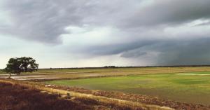 Southwest Monsoon 2025 Likely to Be Above Normal, IMD Forecasts Normal to Excess Rainfall across India