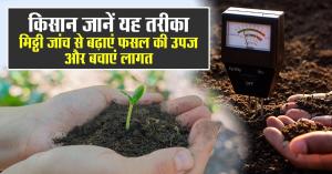 Soil Testing Essential for Higher Yields, Agriculture Department Advises Farmers