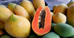Papaya prices today in Rajasthan and Haryana (April 26, 2025)