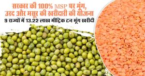 सरकार की 100% MSP पर मूंग, उरद और मसूर की खरीदारी की योजना, 9 राज्यों में 13.22 लाख मीट्रिक टन मूंग खरीदी