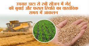 Satellite Data Used for Real-Time Assessment of Wheat Sowing and Crop Status in the Rabi Season