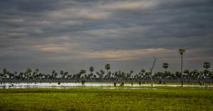 IMD Rain Alert: Heavy Rain, Thunderstorms Expected in Delhi, UP, Bihar and Other States
